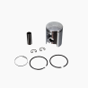 Complete Piston Kit EVOK Am6 D.40.3 Sel.E Pistons Evok