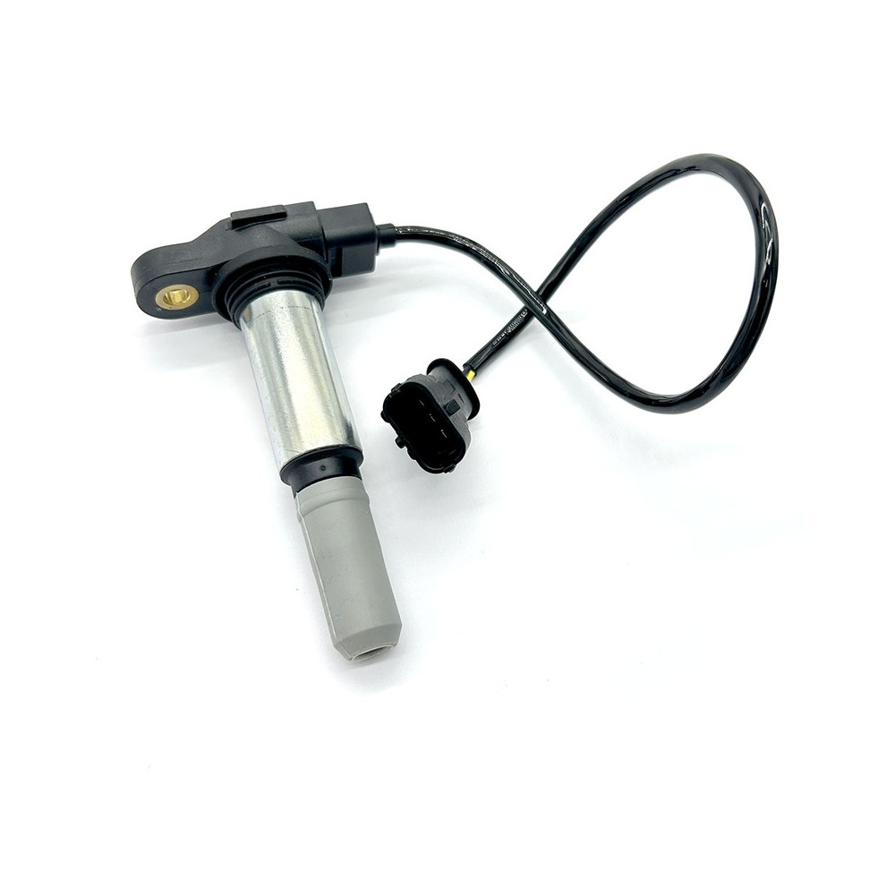 Bobina Beru Ducati Desmosedicirr per DUCATI Desmosedici RR nd Bobine Beru