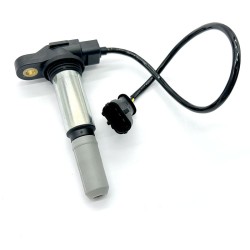 Bobina Beru Ducati Desmosedicirr per DUCATI Desmosedici RR nd Bobine Beru
