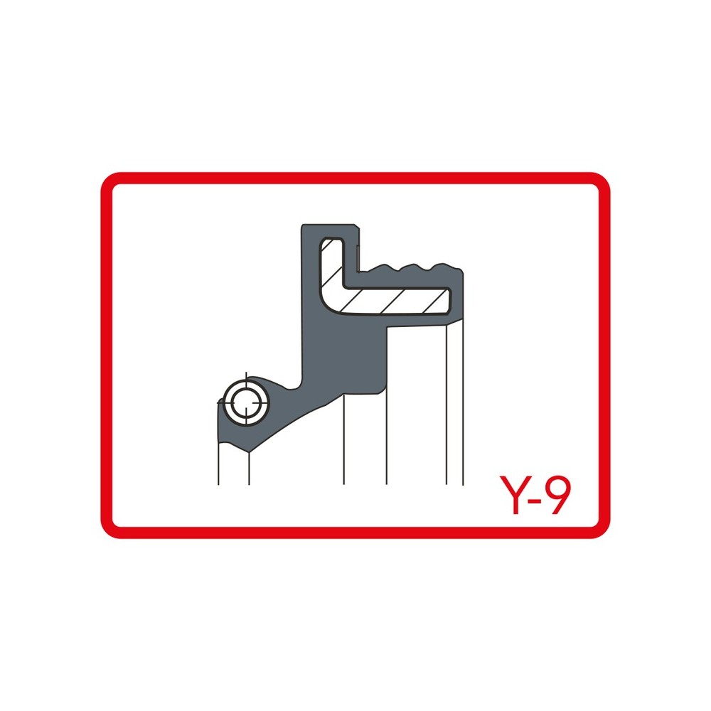 Kit Parapolvere 45x58,362,3x4,511 Y-9 per BETA RR 250400 06-10 e altri modelli Kit Paraoli ARIETE