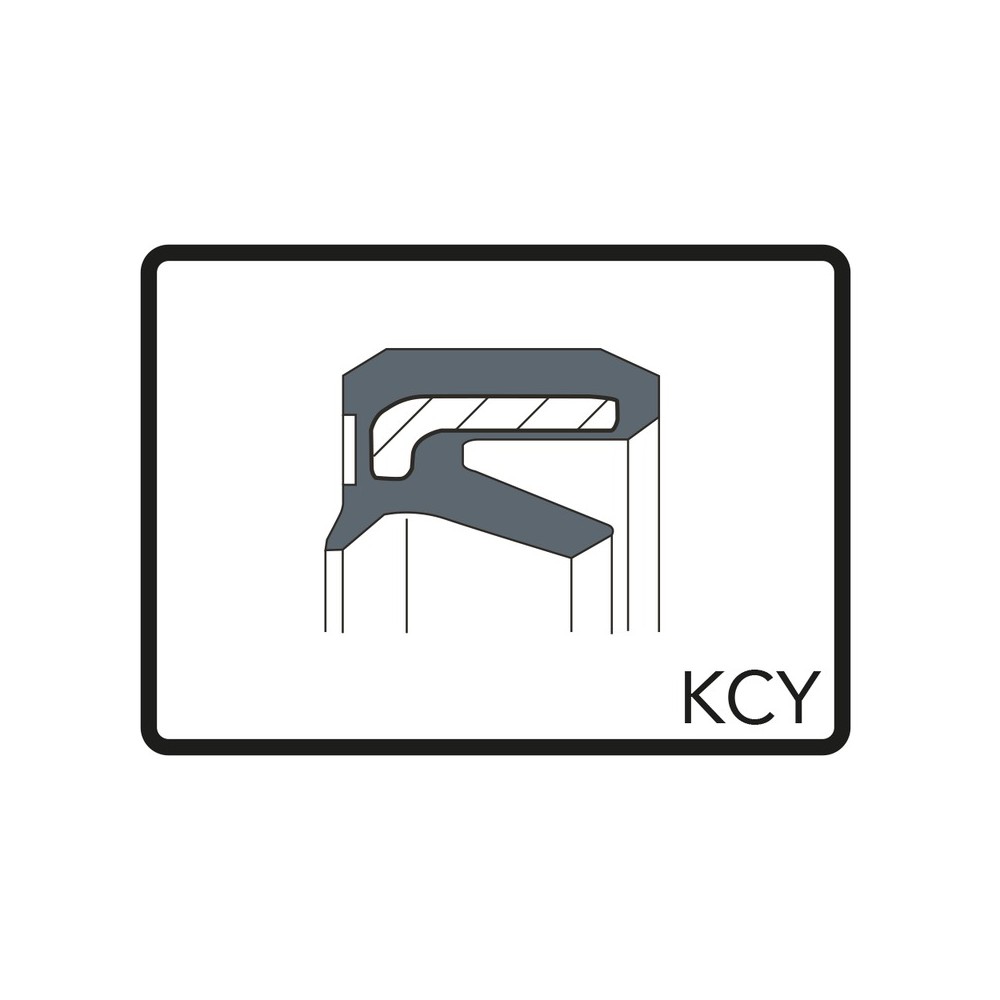 Kit Paraoli 24x32x77,5 Kcy per DERBI FDS 50 nd e altri modelli Kit Paraoli ARIETE