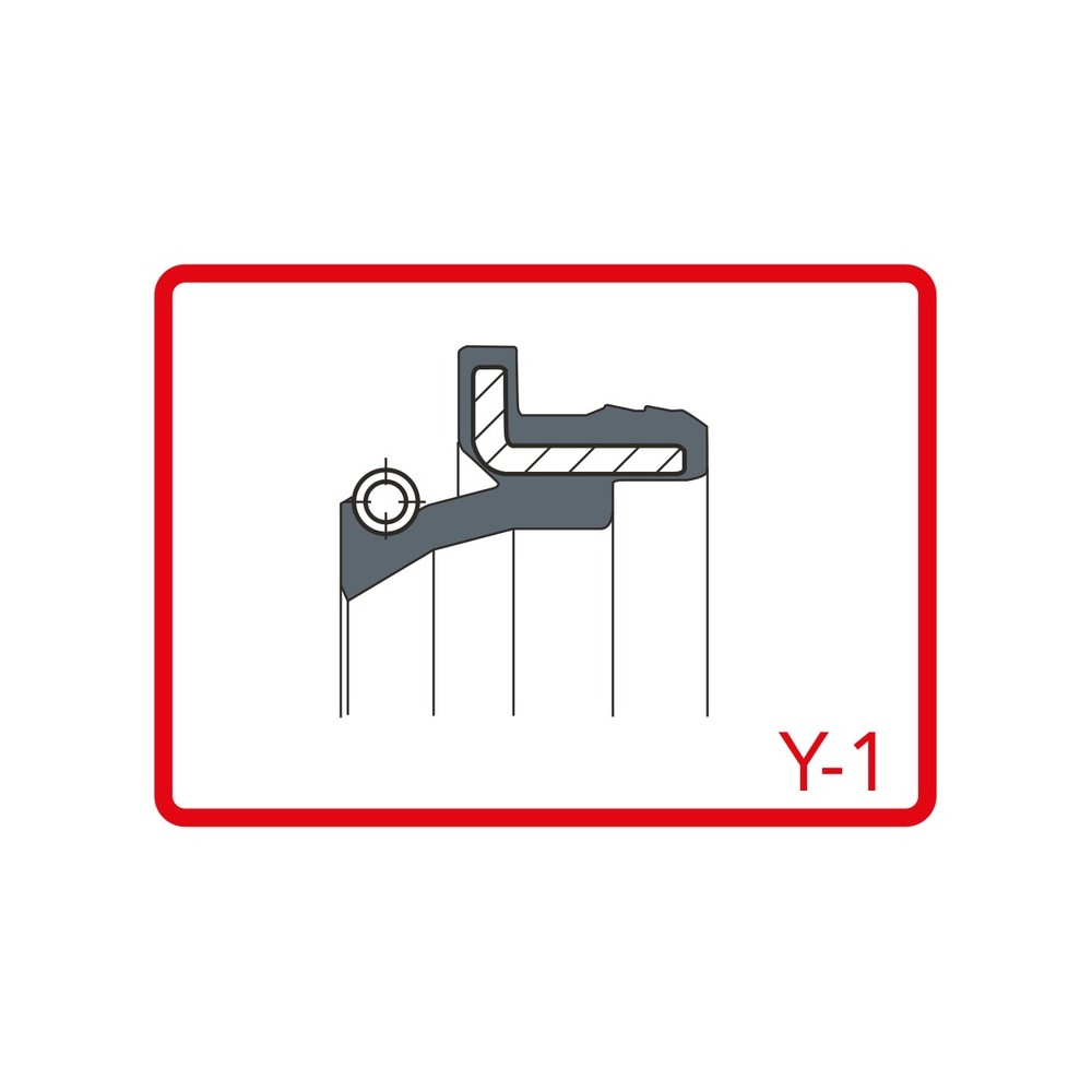 Dust Seal Kit for BETA RR Enduro 300 15-17 and other models Kit Paraoli ARIETE
