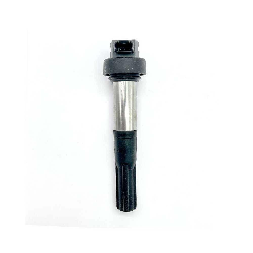 Bobina Beru Bmw F800 Gs 06-14 per BMW F650 GS 06-12 e altri modelli Bobine Accensione Beru
