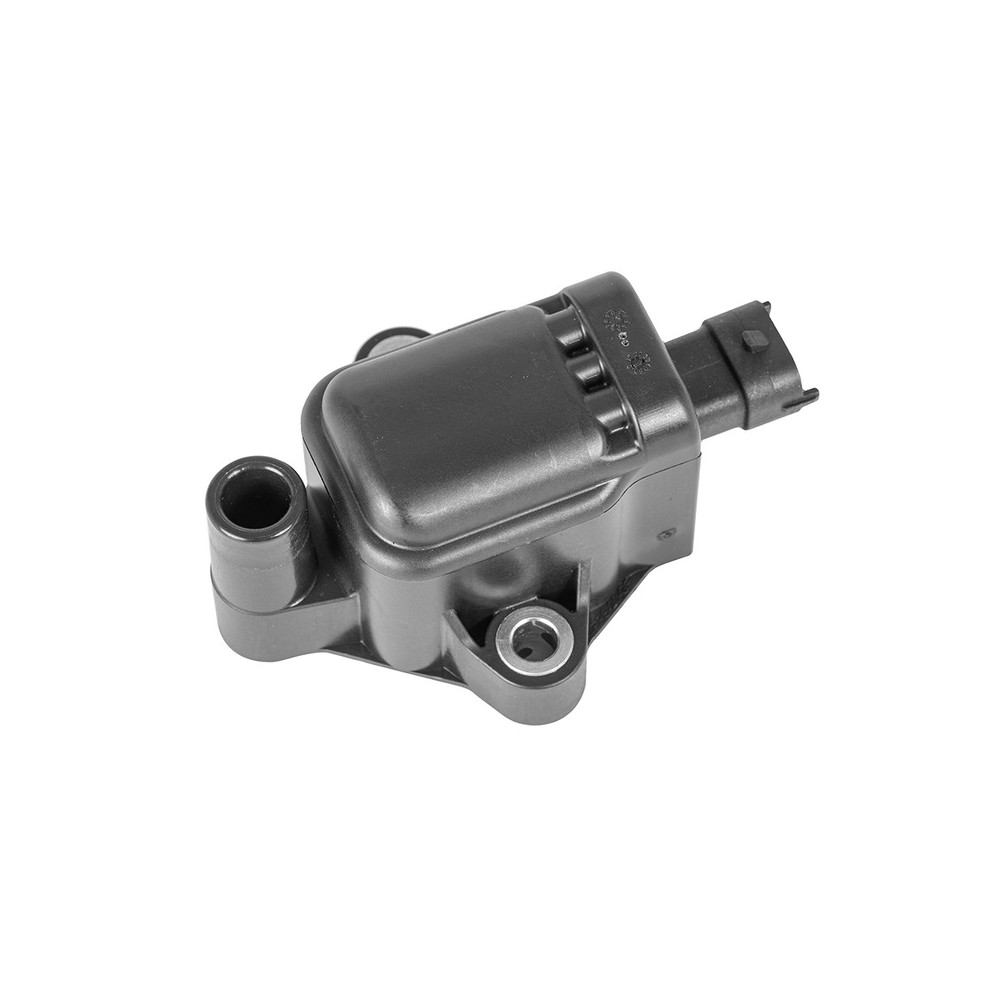 Bobina Beru Ktm Exc 300 18--Husqvarna Te 250300 2T 18- per KTM EXC 300 18- e altri modelli Bobine Accensione Beru