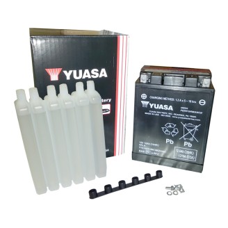 Batteria Yuasa YTX14AH-Bscon Acido per POLARIS Sportsman 335400425500 98-01 e altri modelli Batterie Sigillate YUASA