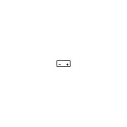 Batteria Yuasa YTX14AHL-Bscon Acido Batterie Sigillate YUASA
