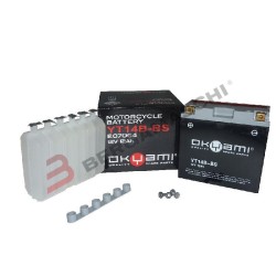 Batteria Okyami OT14B-Bscon Acido per YAMAHA FZS Fazer 00 01-05 e altri modelli Batterie Sigillate OKYAMI