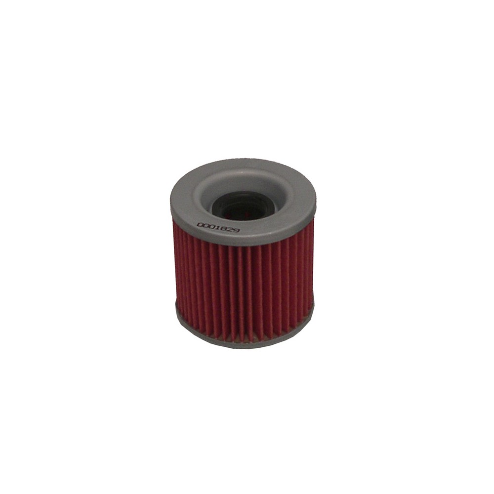 Filtro Olio Kawa Z250 78-82 per KAWASAKI Z250 Scorpion 250 88-88 e altri modelli Olio HIFLO FILTRO