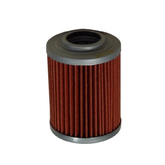 Oil Filter Aprilia Rsv 1000ETV1000 Capo Nord for APRILIA RSV 00 99-05 and other models Olio HIFLO FILTRO