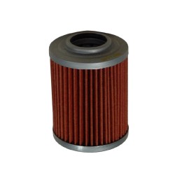 Filtro Olio Aprilia Rsv 1000ETV 1000 Caponord per APRILIA RSV 00 99-05 e altri modelli Olio HIFLO FILTRO