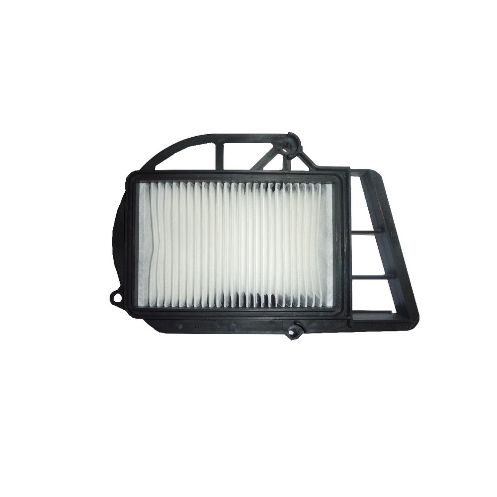 Filtro Aria Variatore Yamahax-Max 250, X-City 05- per YAMAHA X-Max 250 03-16 e altri modelli Filtri Aria HIFLO FILTRO