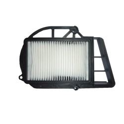 Air Filter Variator Yamaha 250X-Max, Versity 300 for YAMAHA X-Max 250 03-16 and other models Filtri Aria HIFLO FILTRO