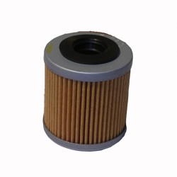 Filtro Olio Aprilia RxvSxv-Husqvarna Te per APRILIA SXVRXV 450550 06-08 e altri modelli Olio HIFLO FILTRO