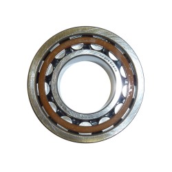 Cuscinetto Ntn NJ205ET2XCS42M.25X52X15 per BETA RR 250300350450480 15-20 e altri modelli Cuscinetti Ntn