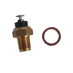 Sonda Termostato Ducati 851 per DUCATI 8 51 e altri modelli Altro ALTRO