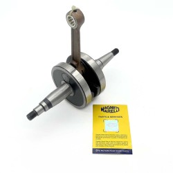 Albero Motore Derbi Senda 50APRILIA Rs 50 06- per APRILIA RS RX 50 06- e altri modelli Alberi Motore MAGNETI MARELLI