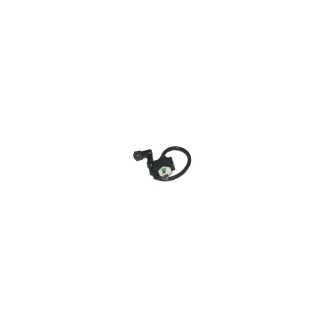 Bobine AT Alta Tensione | 