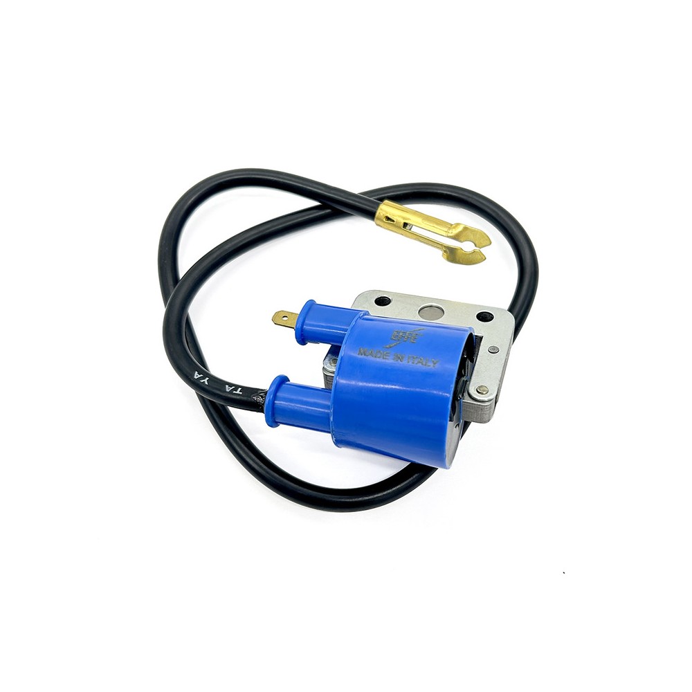 Bobina At Piaggio Vespa 5012567-82 per PIAGGIO GrilloBravoBoxerSICiaoVespa 50125 67-82 Bobine AT Alta Tensione EFFE