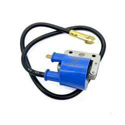 Bobina At Piaggio Vespa 5012567-82 per PIAGGIO GrilloBravoBoxerSICiaoVespa 50125 67-82 Bobine AT Alta Tensione EFFE