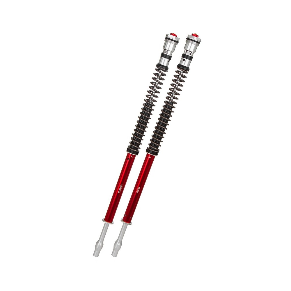 Kit Cartucce Forcella YSSCO208-755TRC-01 per YAMAHA MT-09 17-20 Forcelle YSS