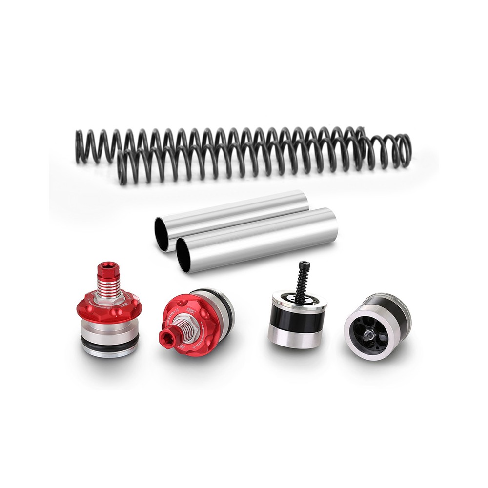 Fork Revision Kityss Ref.Y-FCC36-Kit-09-001 for BMW F650 GS 800 07-12 Forcelle YSS