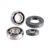 Kit de révision de vilebrequin RMS Derbi 50cc Alberi Motore RMS