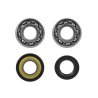 Kit revisione albero motore RMS Classic Piaggio Vespa 50-90cc Alberi Motore Rms Classic