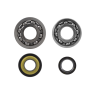 RMS Classic Crankshaft revision kit Piaggio Ape 50cc Alberi Motore Rms Classic