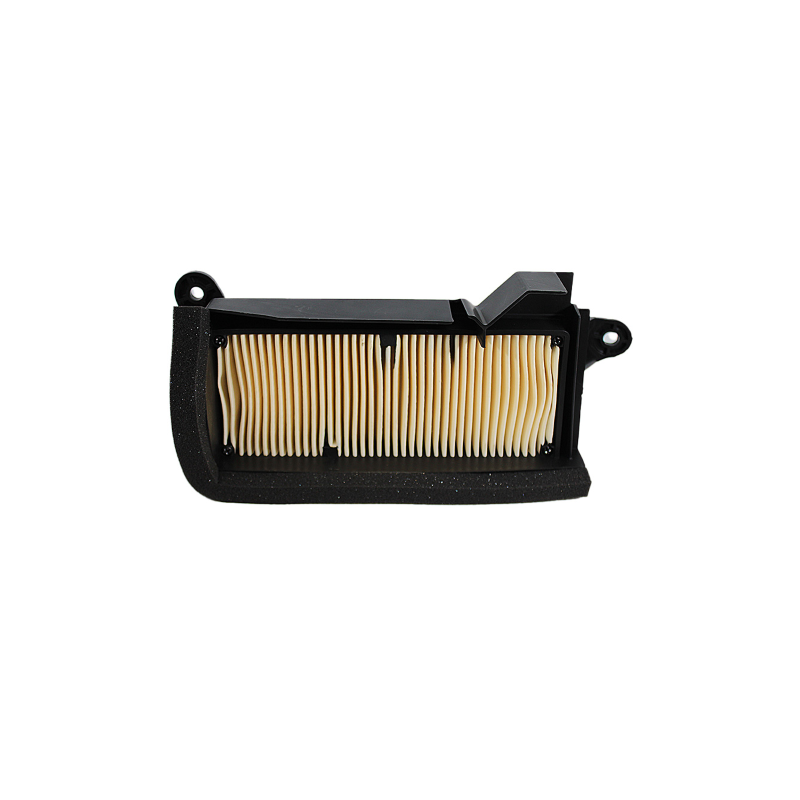 Luftfilter Nypso Yamaha T-Max 560 Ansaugung Nypso