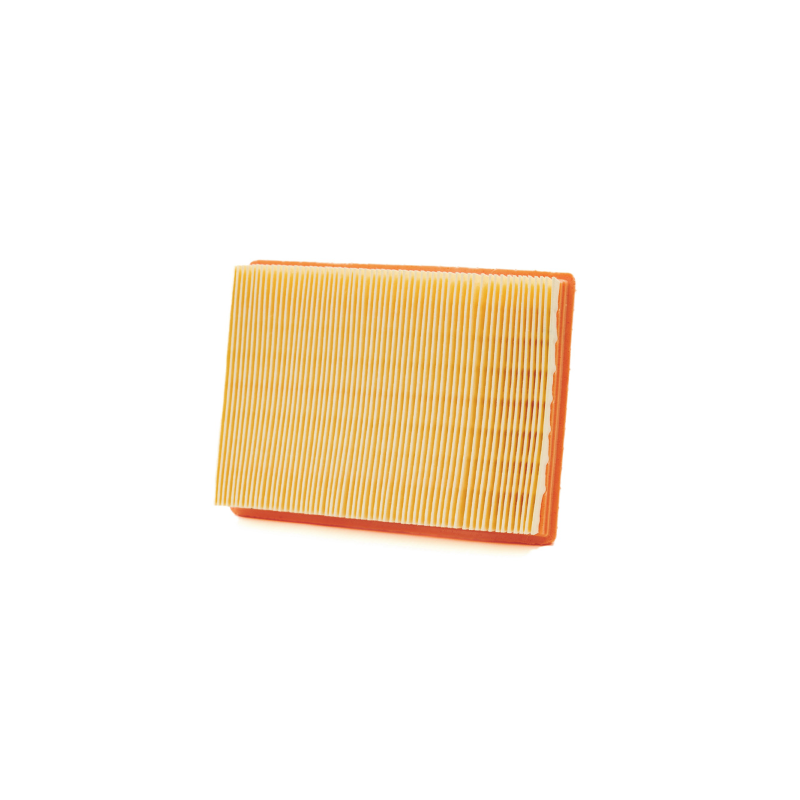 Champion Air filter CAF9001 Intake Champion