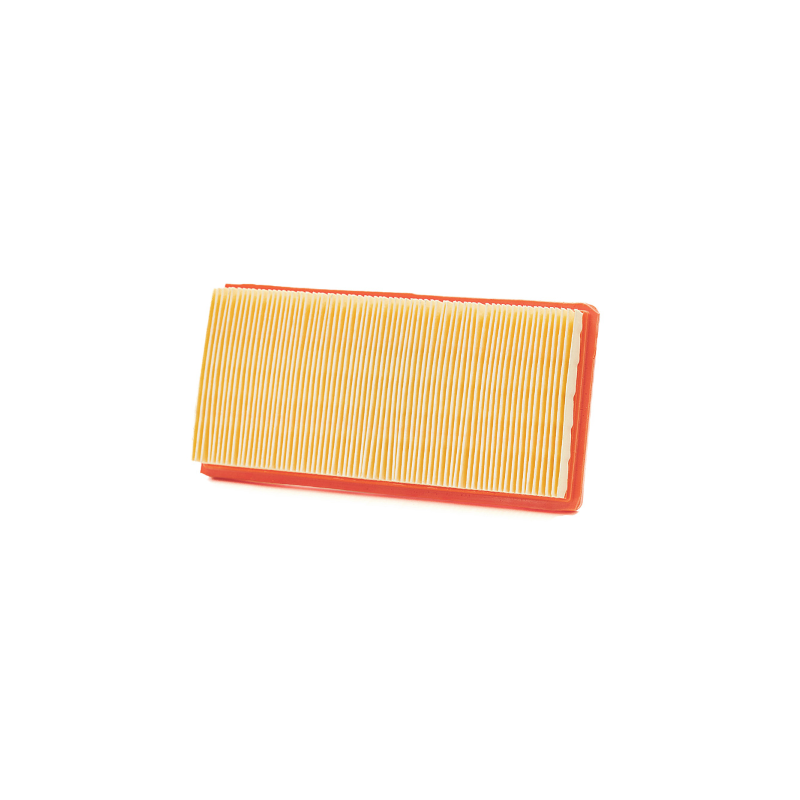 Filtro Aria Champion CAF9005 Aspirazione Champion