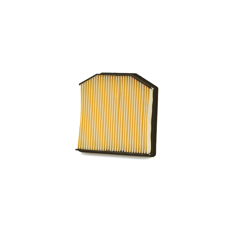 Luftfilter Champion CAF9006 Ansaugung Champion