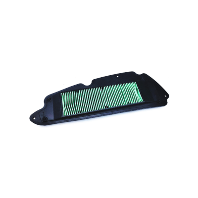 Champion Air filter CAF0921