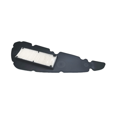 Filtro Aria Champion CAF4221 Aspirazione Champion