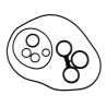 Kit O-rings RMS Classic Piaggio Vespa px Tenuta Rms Classic