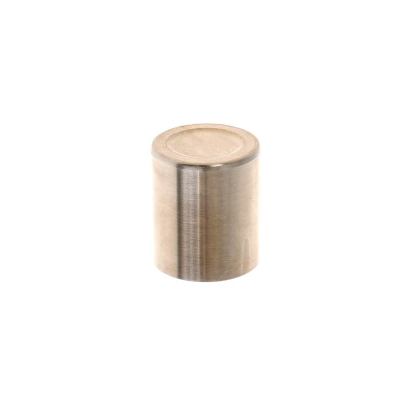 Pistón de reparación de pinza de freno Nissin 2A3-003 Frenos Nissin