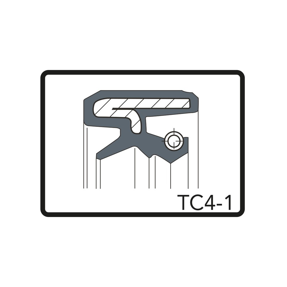 Kit Paraoli 36x48x11 TC4-1 per MALAGUTI Madison 125250 99-04 e altri modelli Kit Paraoli ARIETE