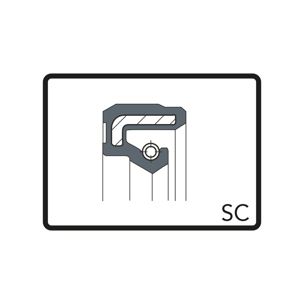 Paraolio Sc 28x17x7 Kit Revisione ARIETE