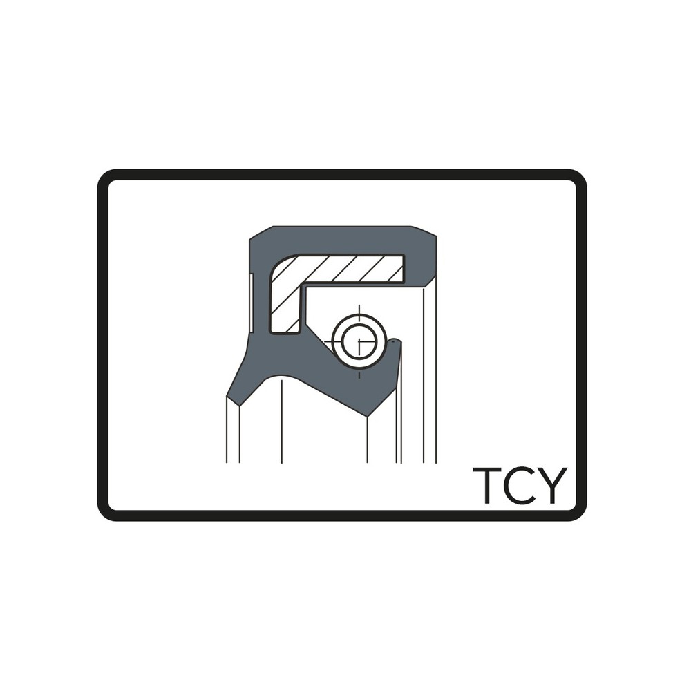Paraolio Tcy 35x20x77,5 Kit Revisione ARIETE