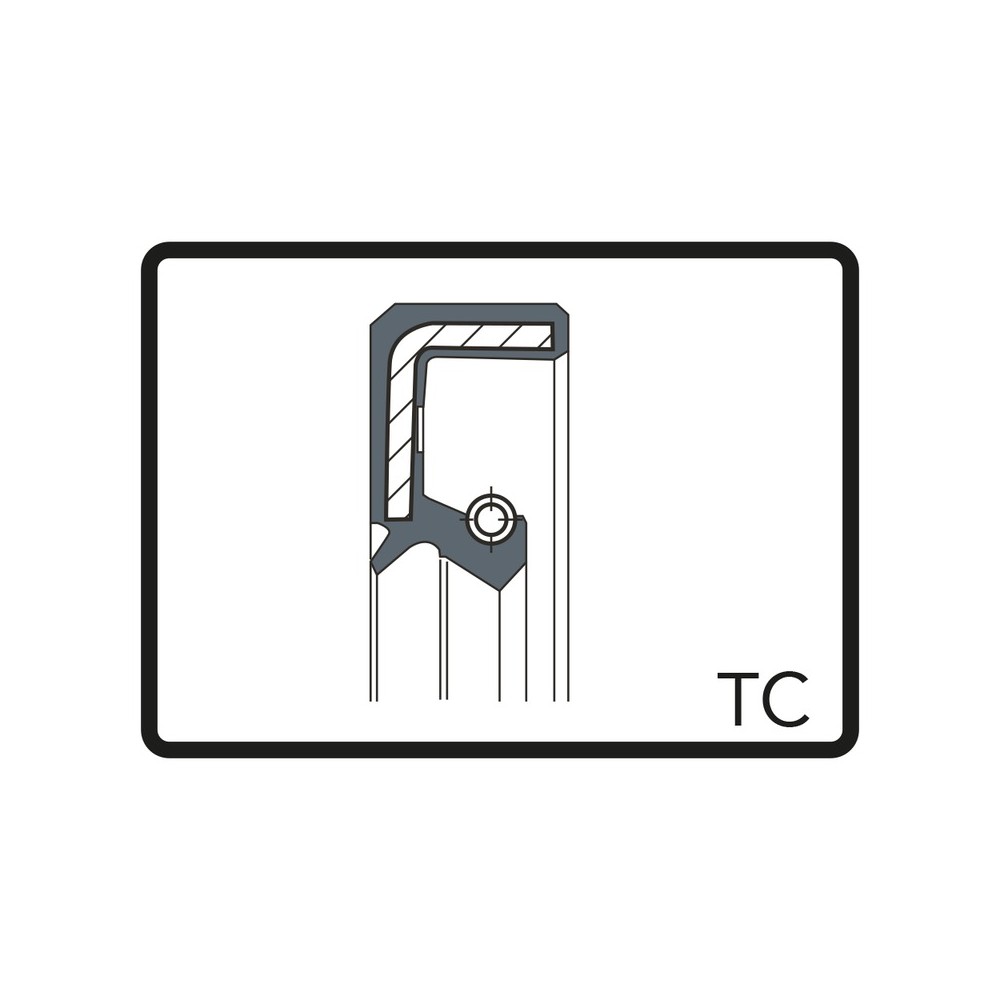 Paraolio Tc 40x24x7 Kit Revisione ARIETE