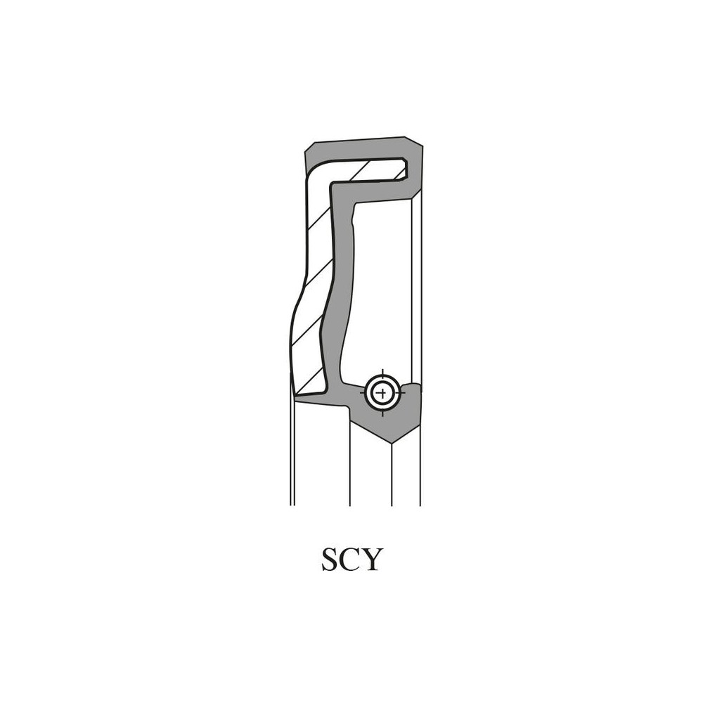 Paraolio Scy 47x22,7x77,5 per PIAGGIO Ape 50 nd e altri modelli Kit Revisione ARIETE