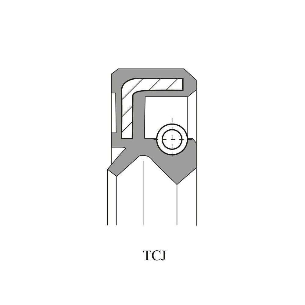 Oil Seal Kit Revisione ARIETE