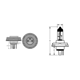 Bulb H5 12V 6055W HALOGENP45T Fanaleria e Lampade OKYAMI