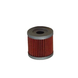 Filtro Olio Suzuki Dr 400 ZsE 00-02 per ARCTIC CAT Quad DVX 400 04-07 e altri modelli Filtri Olio HIFLO FILTRO