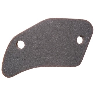 Filtro de Aire Recup. Gas LIBERTY 2T/Nrg MC3/Fly 2T 05- Diesis para