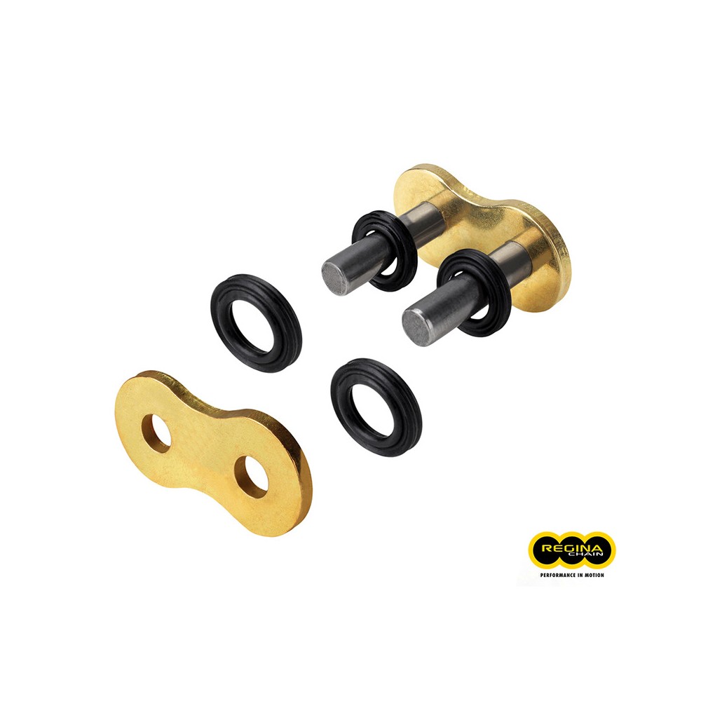 Giunto Catena Regina 420 RX3TIPO 19 Antrieb REGINA