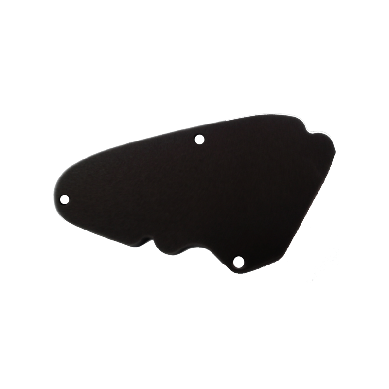 Luftfilter Nypso Piaggio Liberty 125-150cc 2013-2014 Ansaugung Nypso
