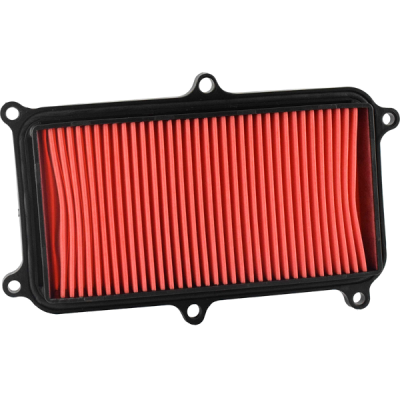Filtro Aria Champion CAF4016