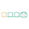 RMS Complete gasket set Minarelli Vertical Gaskets RMS