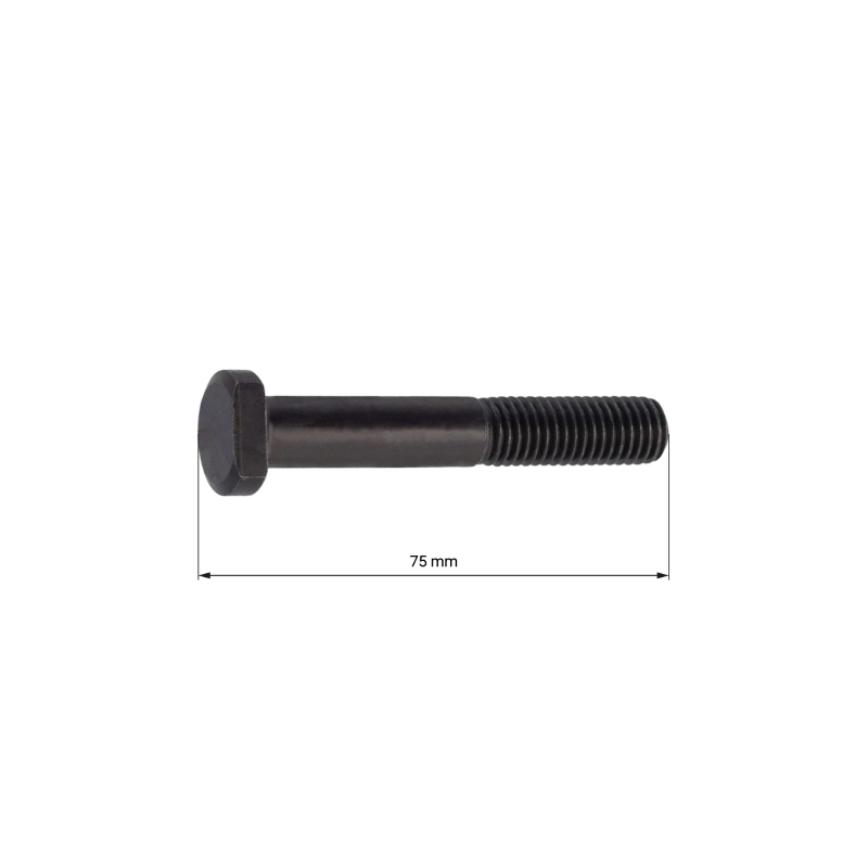 Bullone carter RMS Classic Piaggio vespa 50cc 008499 Altro Rms Classic
